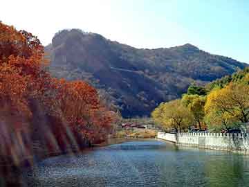 新澳天天开奖资料大全旅游团，二手真空冷冻干燥机